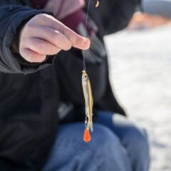 北海道の体験型旅行